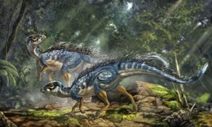 dinosauri_sanguecaldo