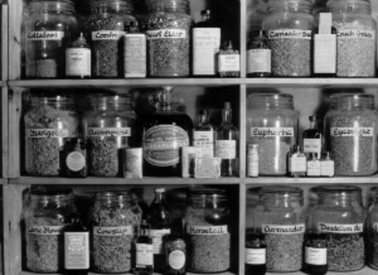 spezie farmacia