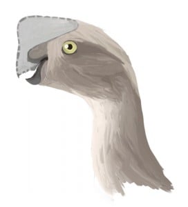 oviraptor
