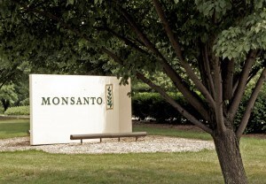 monsanto