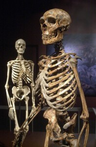 neanderthal_sapiens