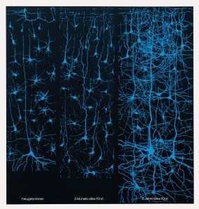rete_neurale