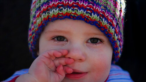Immagine