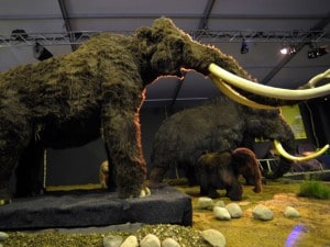 Riproduzione di mammut a St. Peter–Ording.