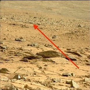Quale sasso è una lucertola?