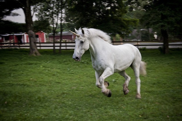 Cavallo con un finto unicorno