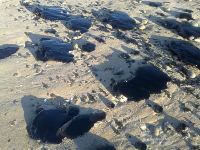 operai sono impegnati nella raccolta di palle di olio combustibile a platamona