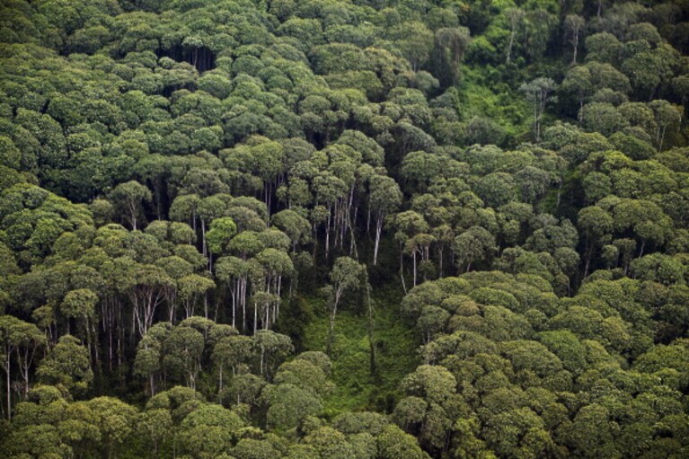 biodiversità