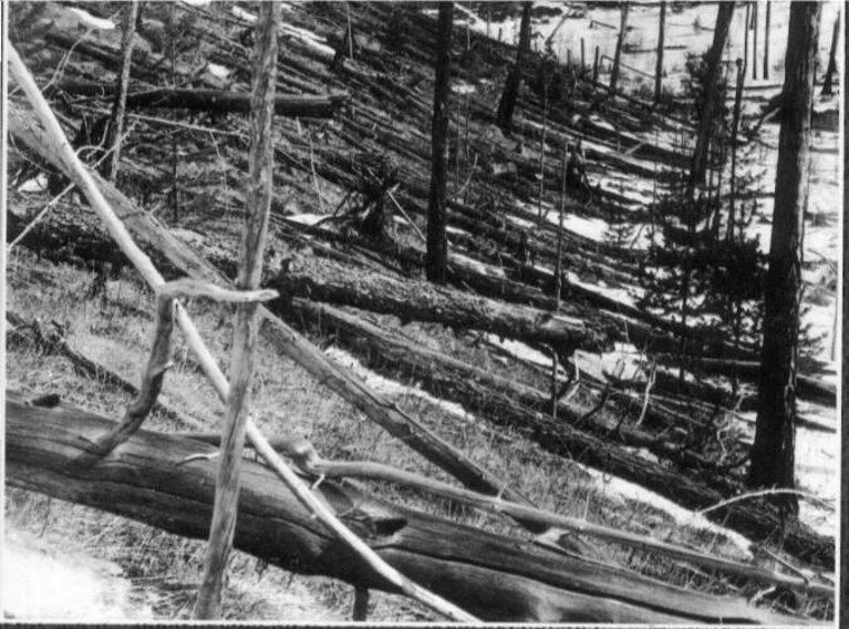 lo straordinario e catastrofico evento a tunguska nel 1908