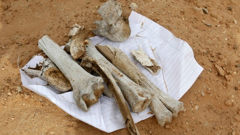Ritrovata una fossa comune contenente 1270 cadaveri.