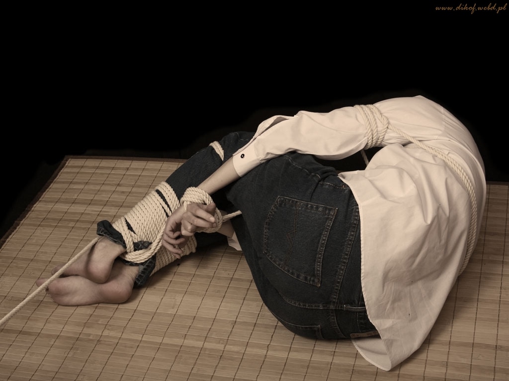 shibari