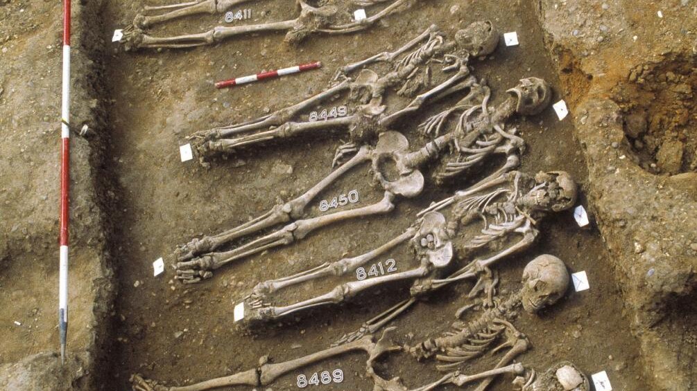 L'analisi del DNA del batterio responsabile della peste, estratto dallo scheletro di cinque individui deceduti a causa del terribile morbo nel XIV secolo, rivela che la Morte Nera fu la madre delle moderne pestilenze.