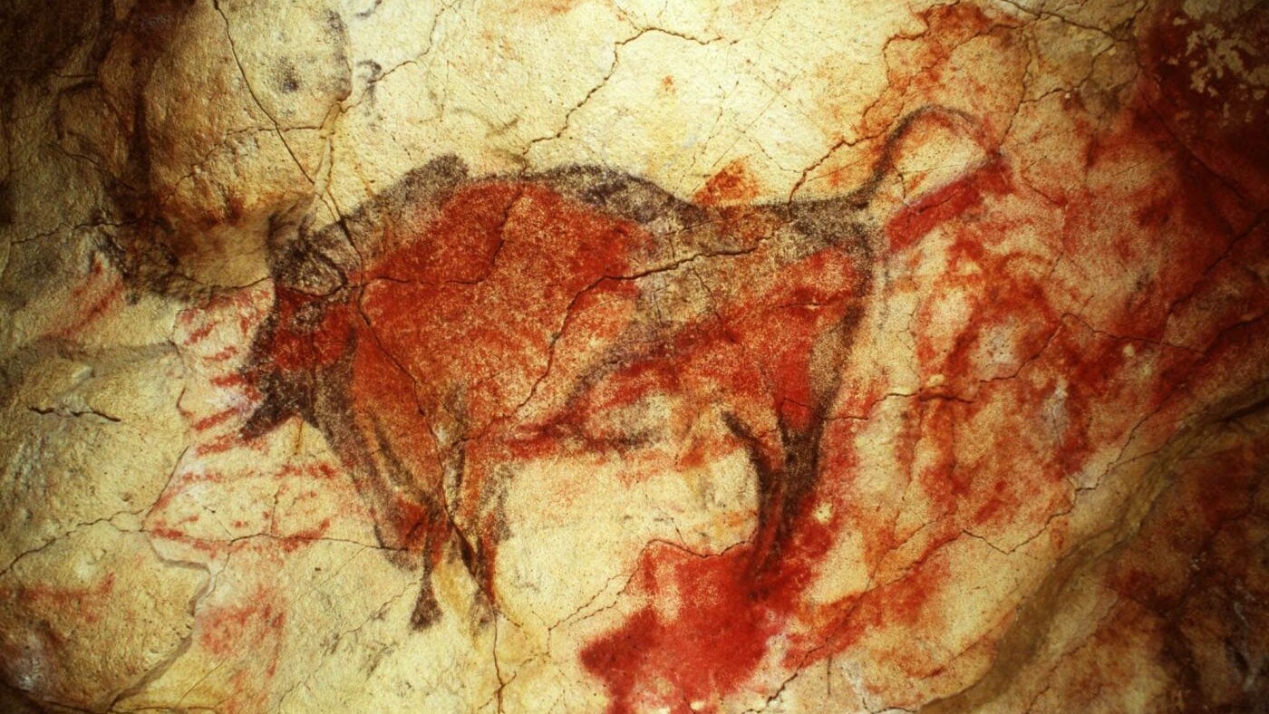 Le autorità spagnole stanno valutando l'ipotesi di rendere nuovamente accessibili le grotte di Altamira: l'apertura del sito potrebbe mettere in serio pericolo le celebri pitture risalenti al paleolitico
