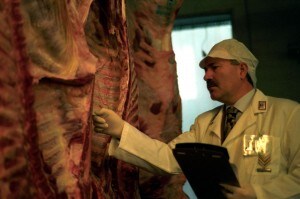 carne_mucca