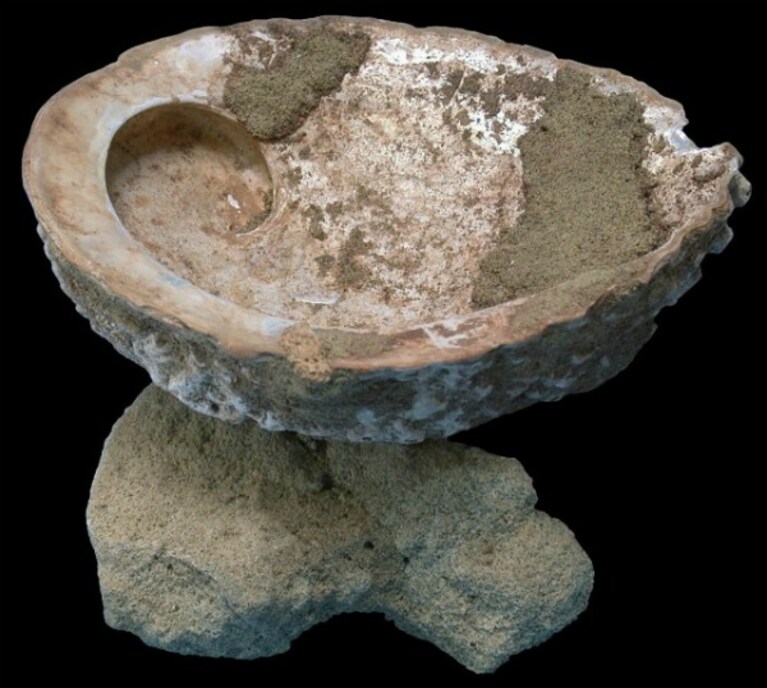 Nella grotta di Blombos, Sud Africa, il rinvenimento di strumenti per approntare pigmenti, grosse conchiglie per conservarli, tracce di pittura