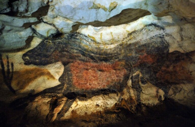 Le autorità spagnole stanno valutando l'ipotesi di rendere nuovamente accessibili le grotte di Altamira: l'apertura del sito potrebbe mettere in serio pericolo le celebri pitture risalenti al paleolitico