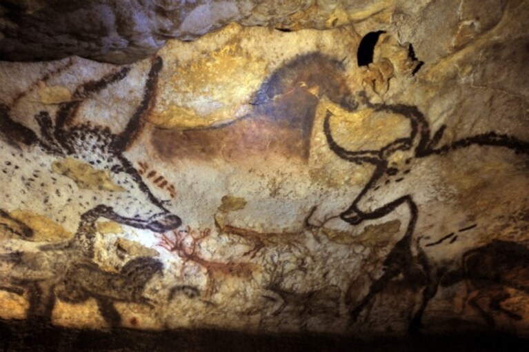 Le autorità spagnole stanno valutando l'ipotesi di rendere nuovamente accessibili le grotte spagnole di Altamira: l'apertura del sito potrebbe mettere in serio pericolo la conservazione delle celebri pitture risalenti al paleolitico