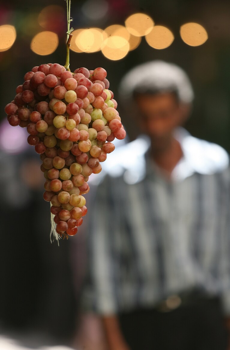estate di san martino e il buon vino