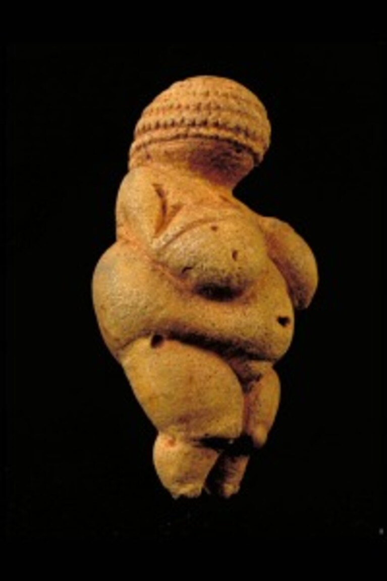 I celebri cavalli a pois della "Grotte du Pech Merle" non sono il mero frutto della fantasia di un artista del paleolitico come si credeva, bensì ritraggono esemplari realmente visti in natura da quell'antico pittore.