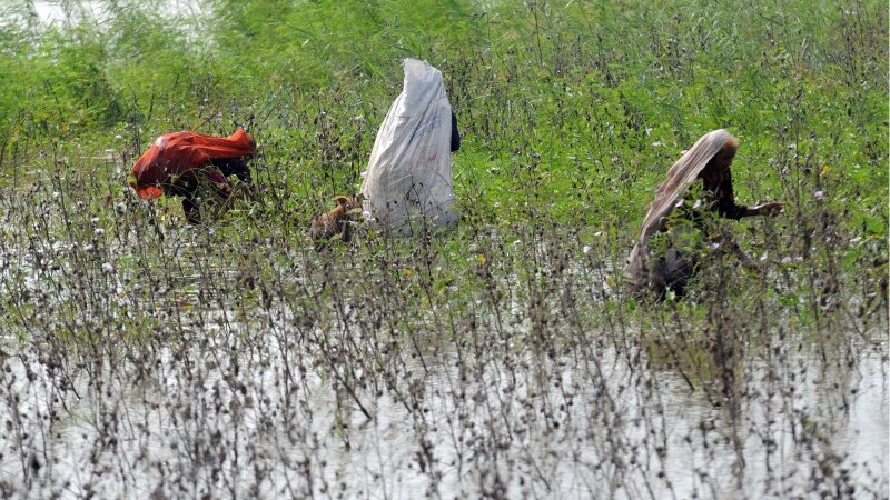 Partendo dal campo di cotone, giungendo fino al consumatore finale, per la produzione di una sola maglietta si consumano 2700 litri d'acqua. Ed è solo uno degli esempi più evidenti dello spreco di risorse che continua sul nostro pianeta.