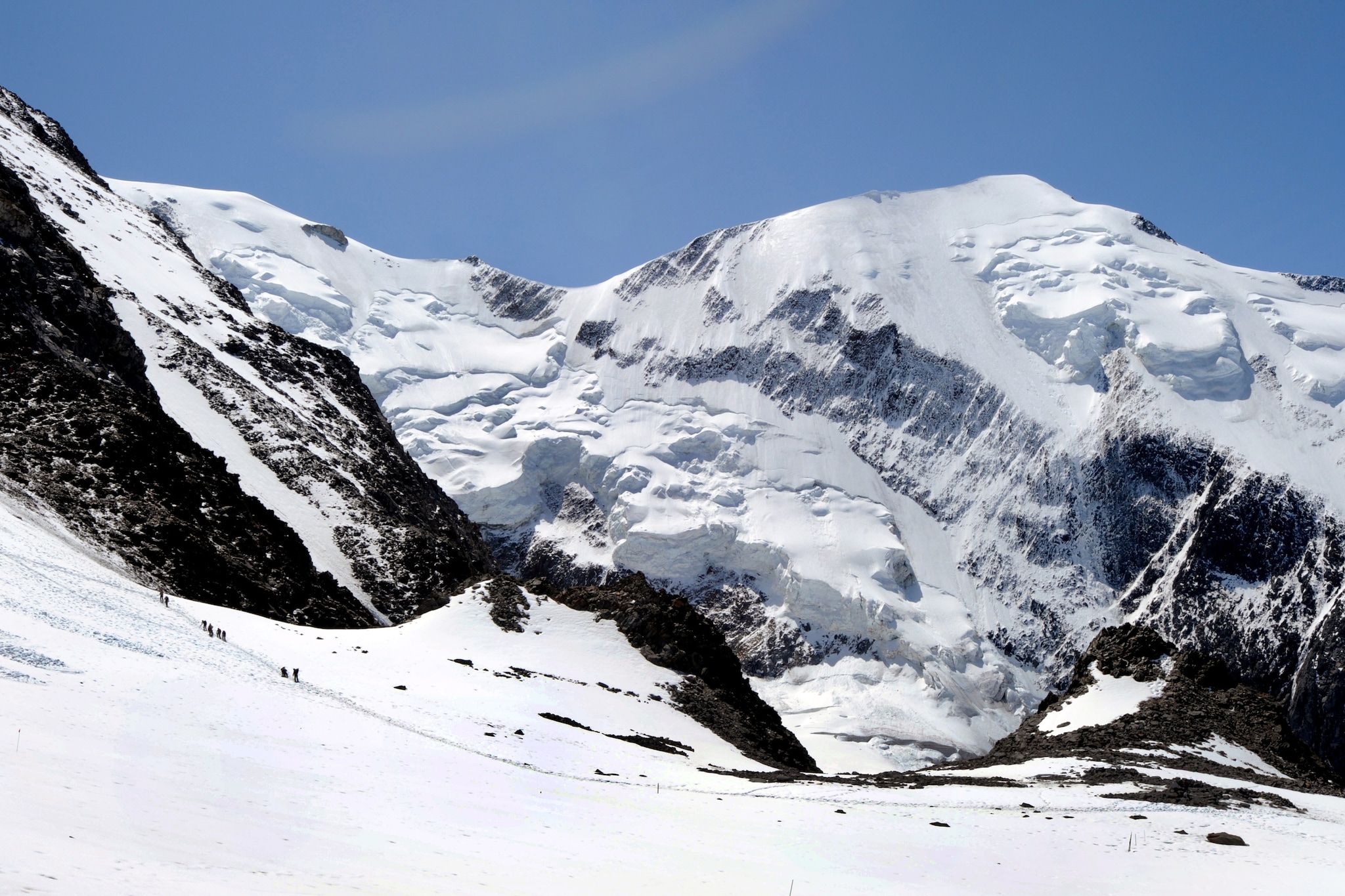 Tra i ghiacciai dello Stelvio vivono alcuni batteri che "mangiano" lo smog, potrebbe essere un modo alternativo per aiutare il nostro devastato ambiente