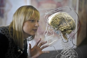Brain exhibition in Bristol