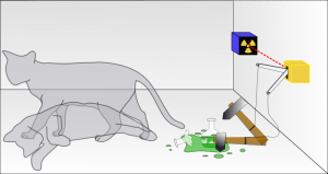 gatto_schrodinger