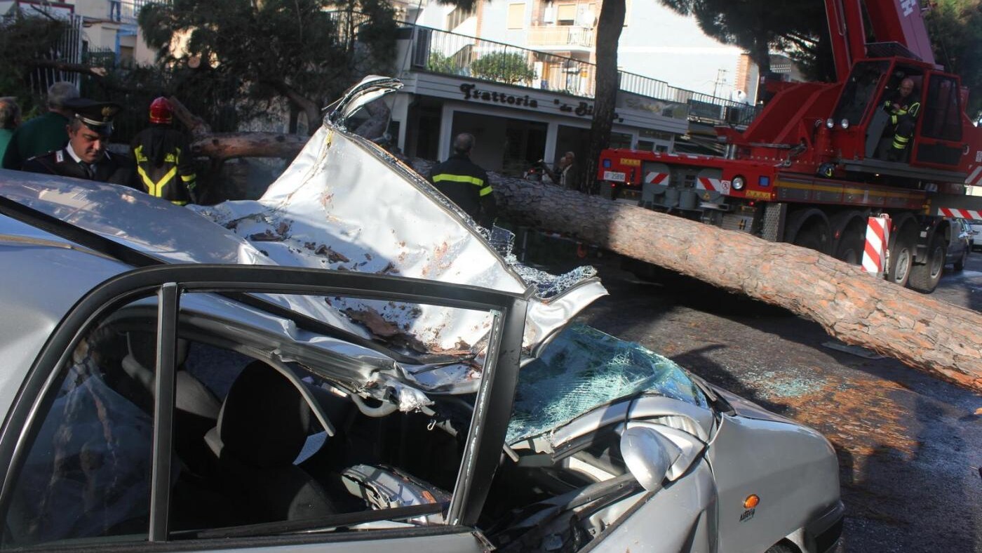 Maltempo: un morto a Napoli per la caduta di un albero