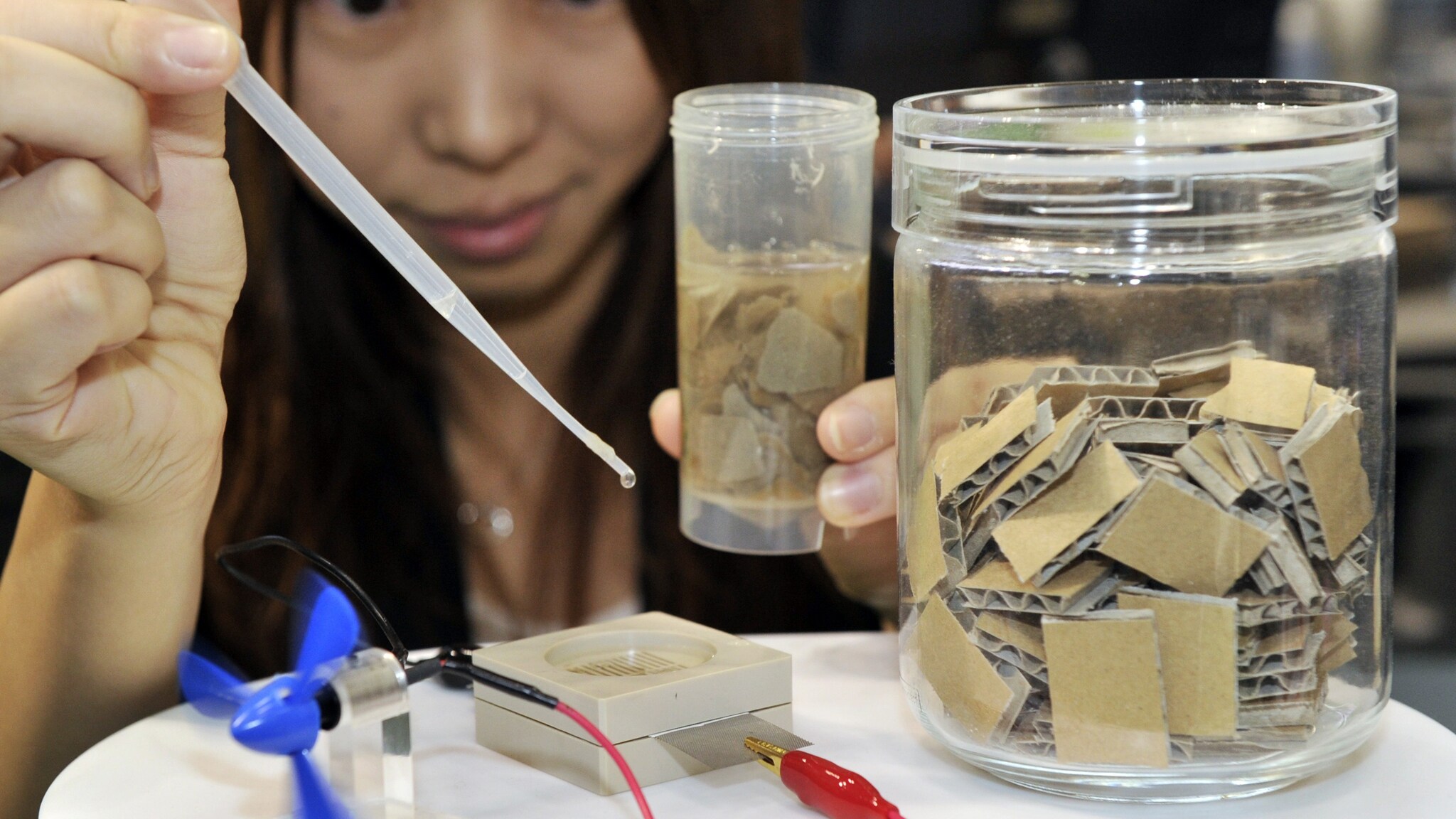 Per il momento si tratta solo di un prototipo, presentato dalla Sony all'esposizione Eco-Products 2011, le batterie prodotte da carta, acqua ed enzimi, sono ecosostenibili e non rilasciano sostanze tossiche nell'ambiente.
