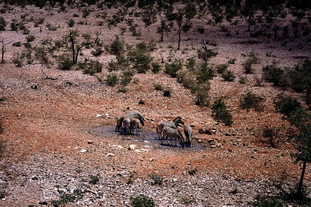 La relazione annuale dell'ONU sulle tendenze climatiche conferma terribili sospetti, il decennio 2000-2010 è stato il più torrido registrato a partire dal 1850. E la colpa è principalmente dei gas serra.