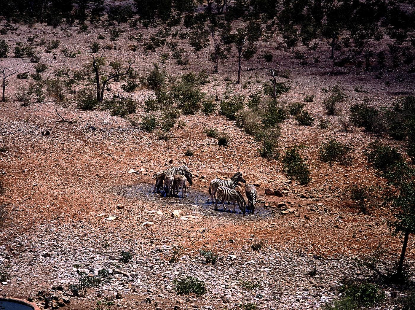 La relazione annuale dell'ONU sulle tendenze climatiche conferma terribili sospetti, il decennio 2000-2010 è stato il più torrido registrato a partire dal 1850. E la colpa è principalmente dei gas serra.