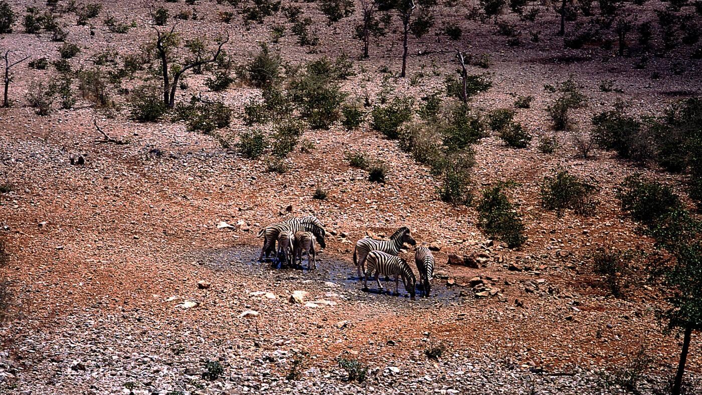 La relazione annuale dell'ONU sulle tendenze climatiche conferma terribili sospetti, il decennio 2000-2010 è stato il più torrido registrato a partire dal 1850. E la colpa è principalmente dei gas serra.