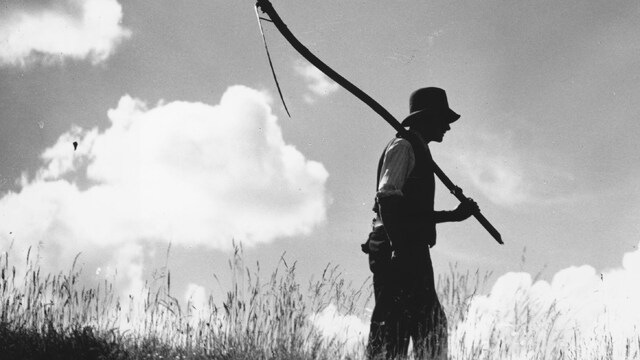 1940: un agricoltore torna a casa (Foto di Fox Photos/Getty Images)