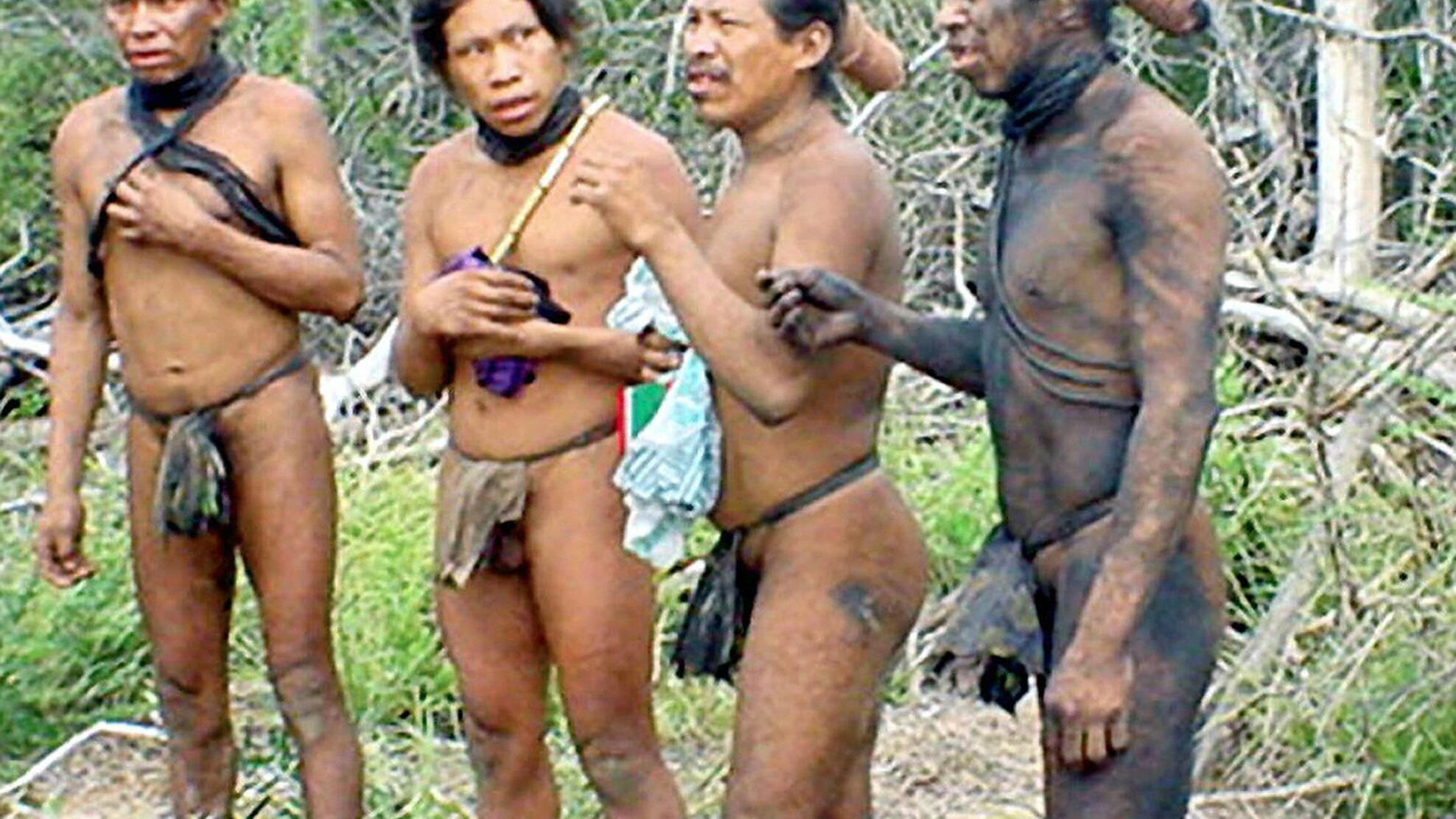 Il Gran Chaco è un ecosistema unico al mondo, compreso tra i confini di Paraguay, Bolivia ed Argentina, minacciato dalla crescente deforestazione che ne ha già vistosamente ridotto il territorio, mettendo in pericolo non solo la biodiversità della regione ma anche la popolazione autoctona minacciata dall'estinzione.