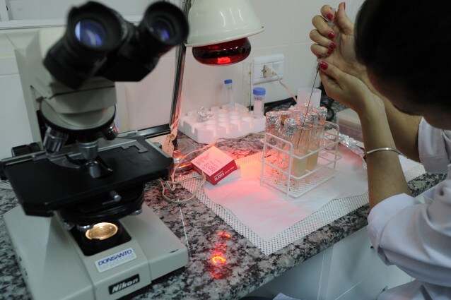Creato in laboratorio e, per il momento, sperimentato solo sui topi, lo sperma in vitro potrebbe essere la nuova risorsa per combattere la sterilità negli uomini.