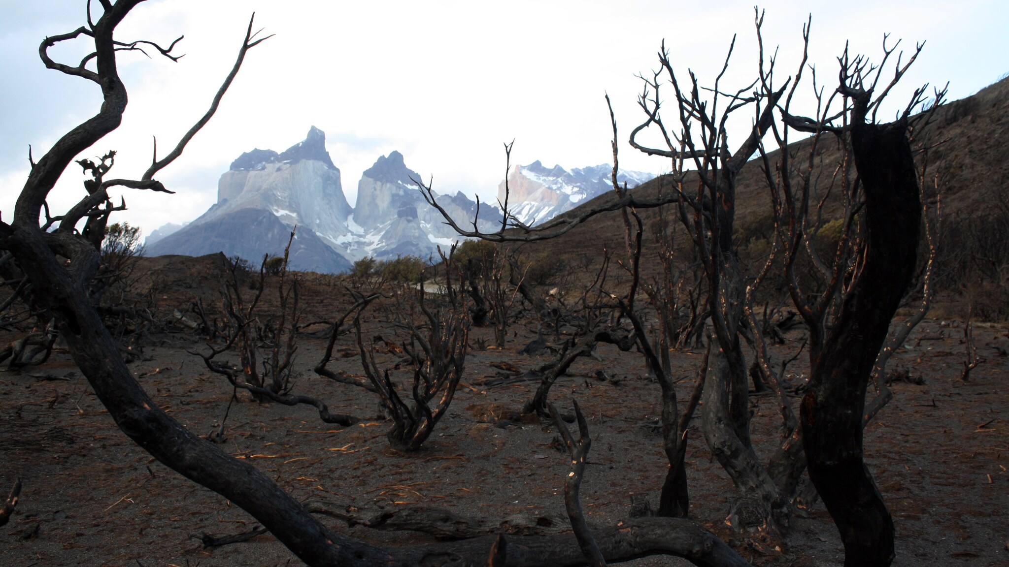 Dopo aver distrutto una parte del Parco Nazionale Torres del Paine, l'incendio che ha fatto bruciare la Patagonia per cinque giorni è stato stabilizzato, le autorità ritengono che nelle prossime ore saranno domati gli ultimi focolai, ma i danni sul territorio potranno essere sanati solo nel giro di cinquant'anni.