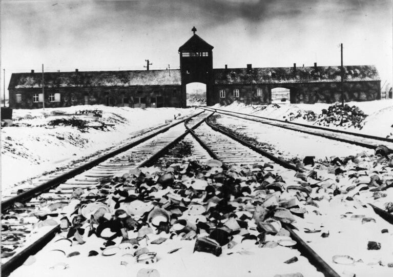 Continuando a ricordare e commemorare corriamo forse il rischio di smarrire il senso più profondo del nostro passato Il 27 gennaio del 2012 deve essere ancora una grande opportunità per confrontarci con la barbarie che, in ogni momento ed in ogni punto del mondo, può risorgere fiera e travolgere il presente.