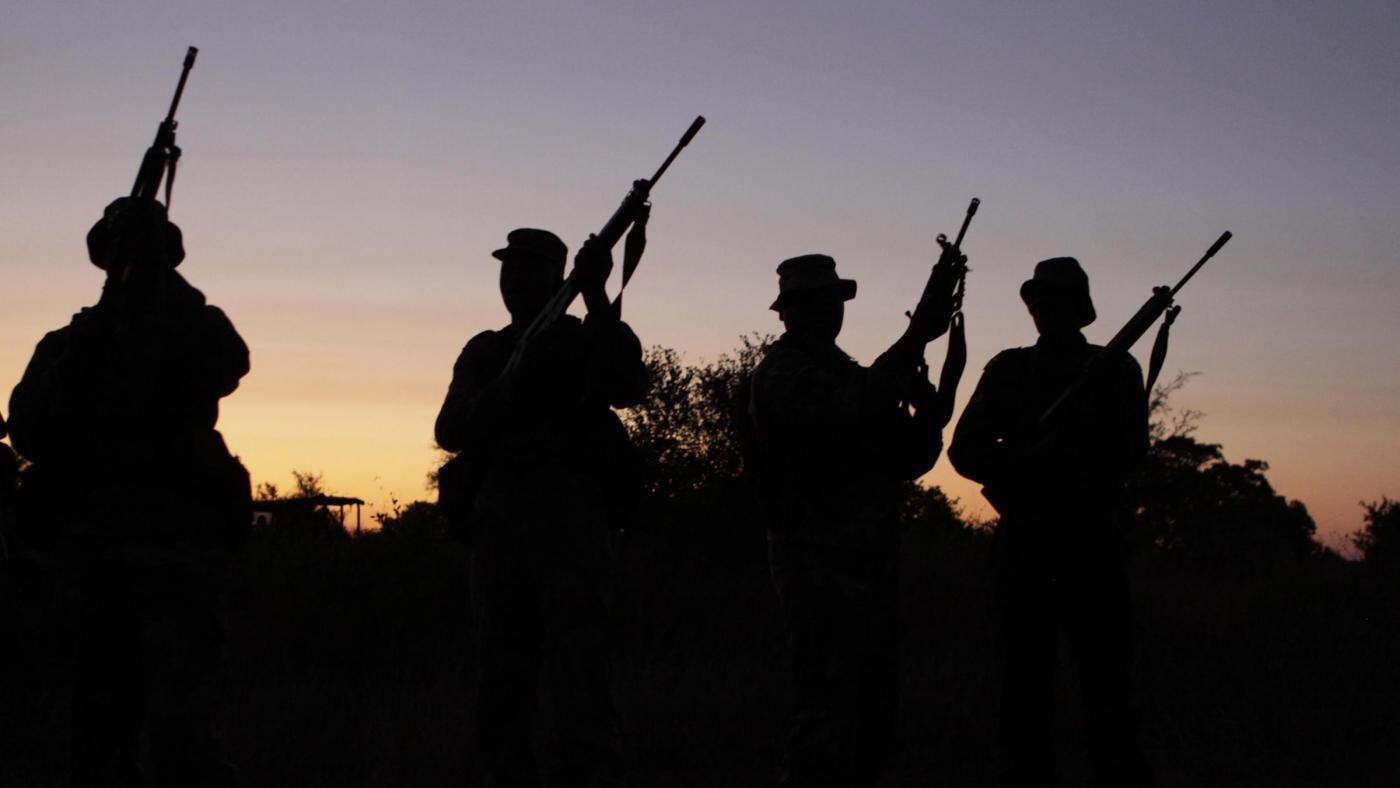 Uccisi a colpi di kalashnikov per essere privati dei loro corni, destinati a mercati clandestini dell'estremo oriente, è la prima volta che vengono ritrovati così tanti rinoceronti morti nella stessa giornata. Il 2012 si preannuncia un altro anno durissimo per la lotta al bracconaggio.