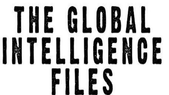 GI Files Wikileaks contenuto
