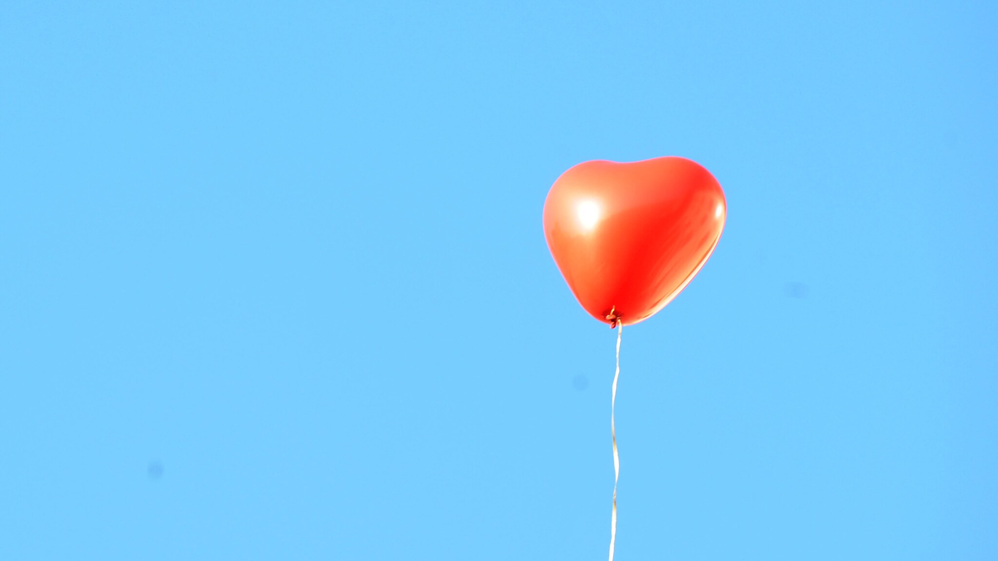 Un Italia virtuosa e generosa, attenta al tema fondamentale del trapianto di organi, è quella che emerge dal rapporto 2011 relativo all'attività di donazione, presentato questa mattina in conferenza stampa dal Ministro della Salute Renato Balduzzi. Un quadro assai positivo in cui a fare da traino è la regione Toscana.