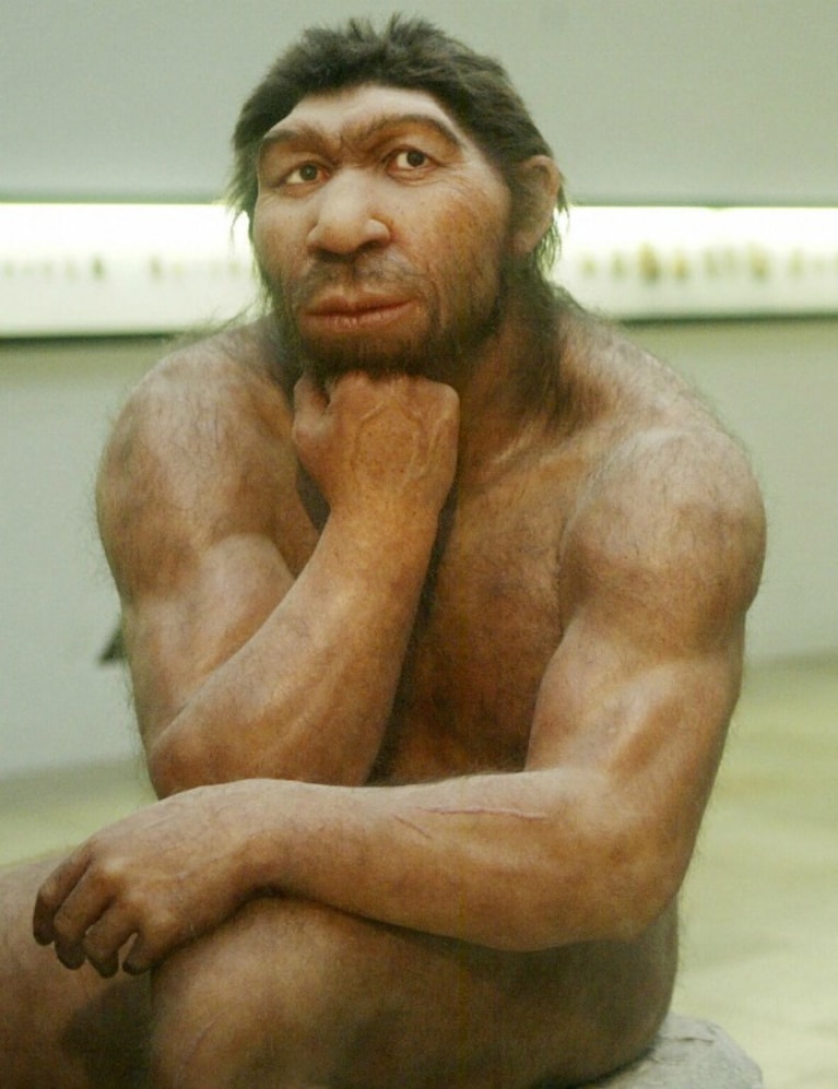 Il dibattito sulle ragioni che portarono alla scomparsa dei cugini Neanderthal è sempre aperto tra studiosi ed esperti, tutti alla ricerca delle più antiche tracce del nostro passato di umani. Un recente studio propone l ipotesi della glaciazione come responsabile dell estinzione dei nostri antenati .