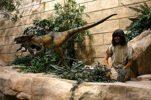 creation_museum