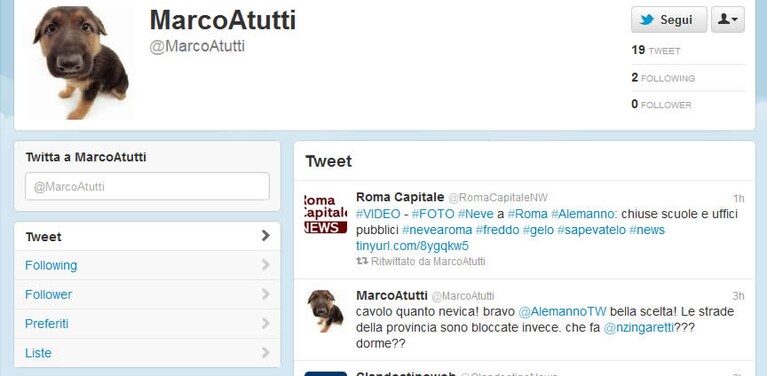 Uno dei profili in soccorso del Sindaco su twitter