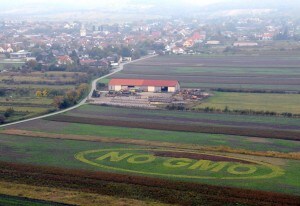 OGM_Clini2