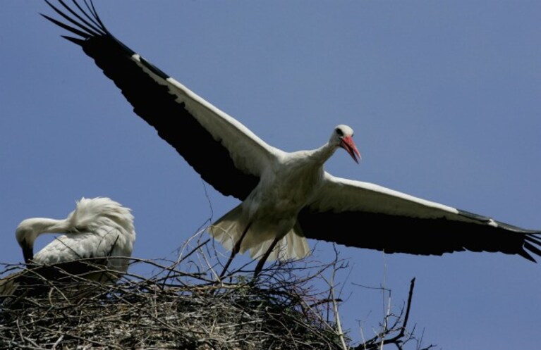 L istanza di Permesso di Ricerca in Terraferma presentata nel 2005 dalla Shell Italia e riguardante il territorio di Vallo di Diano ed alcuni comuni limitrofi costituisce sempre più un allarme ed una preoccupazione, non solo per gli abitanti del luogo. Perché ad essere trivellata sarebbe un'area pericolosamente vicina a quel gioiello del Mediterraneo che è il Parco del Cilento.