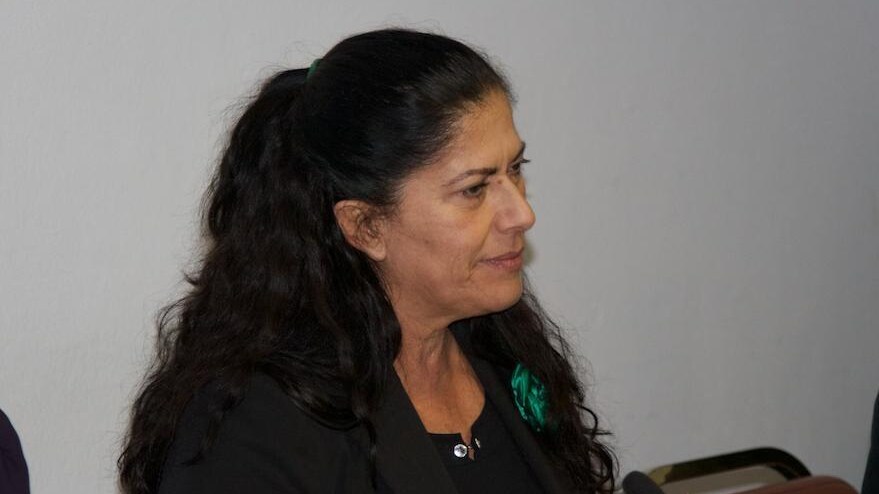 La vicepresidente del Senato