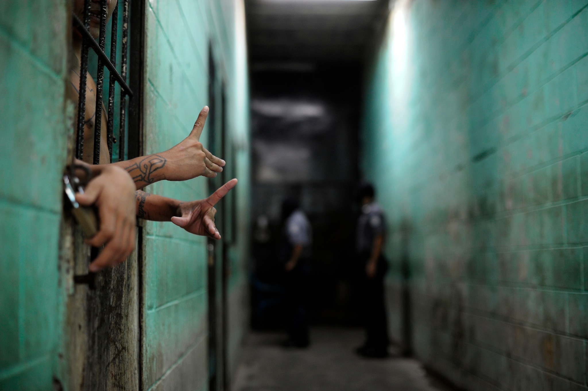 L’incidente avvenuto in un carcere della provincia di Sanliurfa, nel sud est della Turchia. Dopo una rissa gli stessi detenuti avrebbero alimentato le fiamme che hanno ucciso 13 persone e ne hanno ferite altre 5.