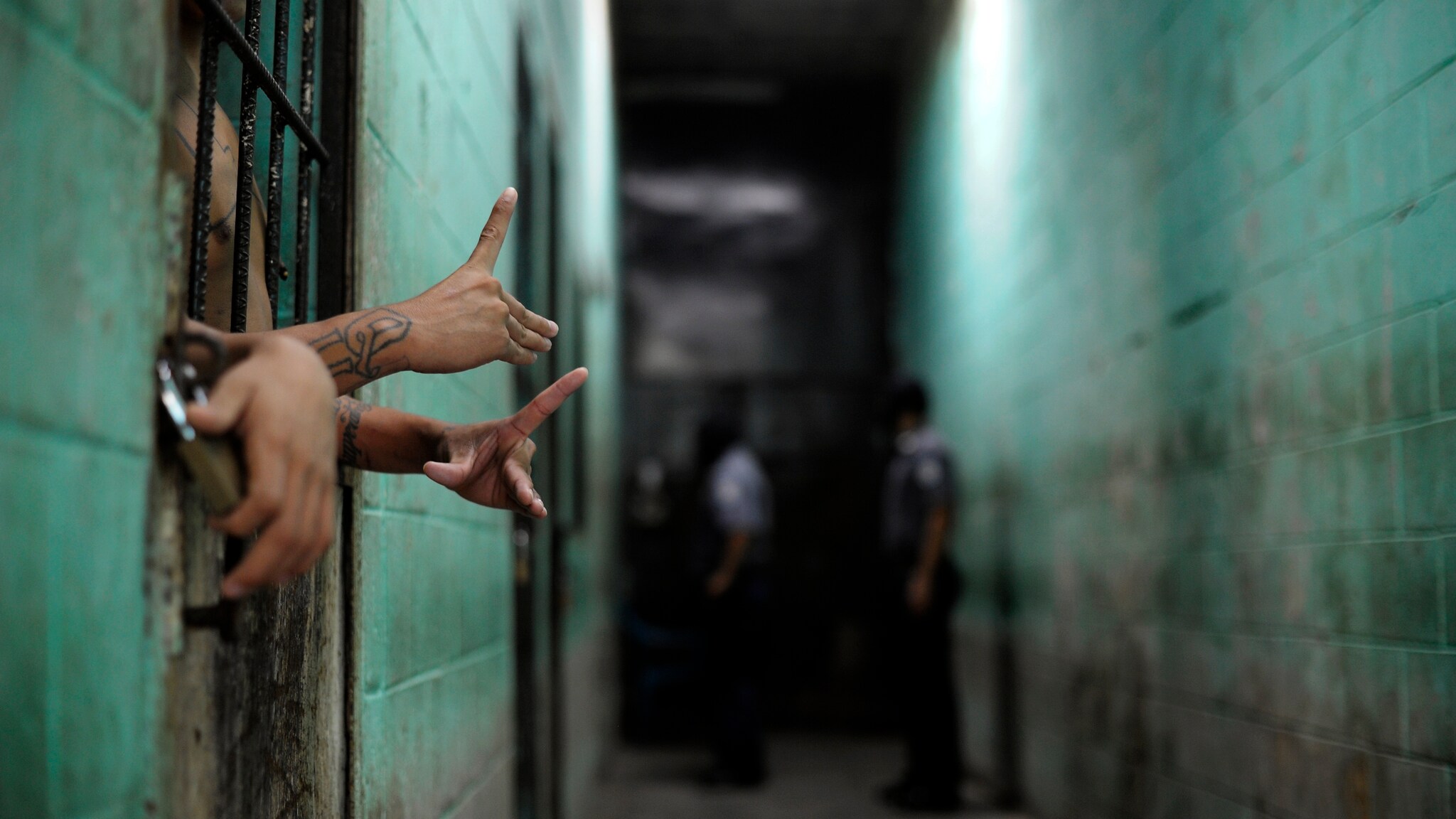 L’incidente avvenuto in un carcere della provincia di Sanliurfa, nel sud est della Turchia. Dopo una rissa gli stessi detenuti avrebbero alimentato le fiamme che hanno ucciso 13 persone e ne hanno ferite altre 5.