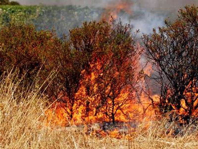 Da' fuoco al bosco, le telecamere della forestale filmano tutto [VIDEO]