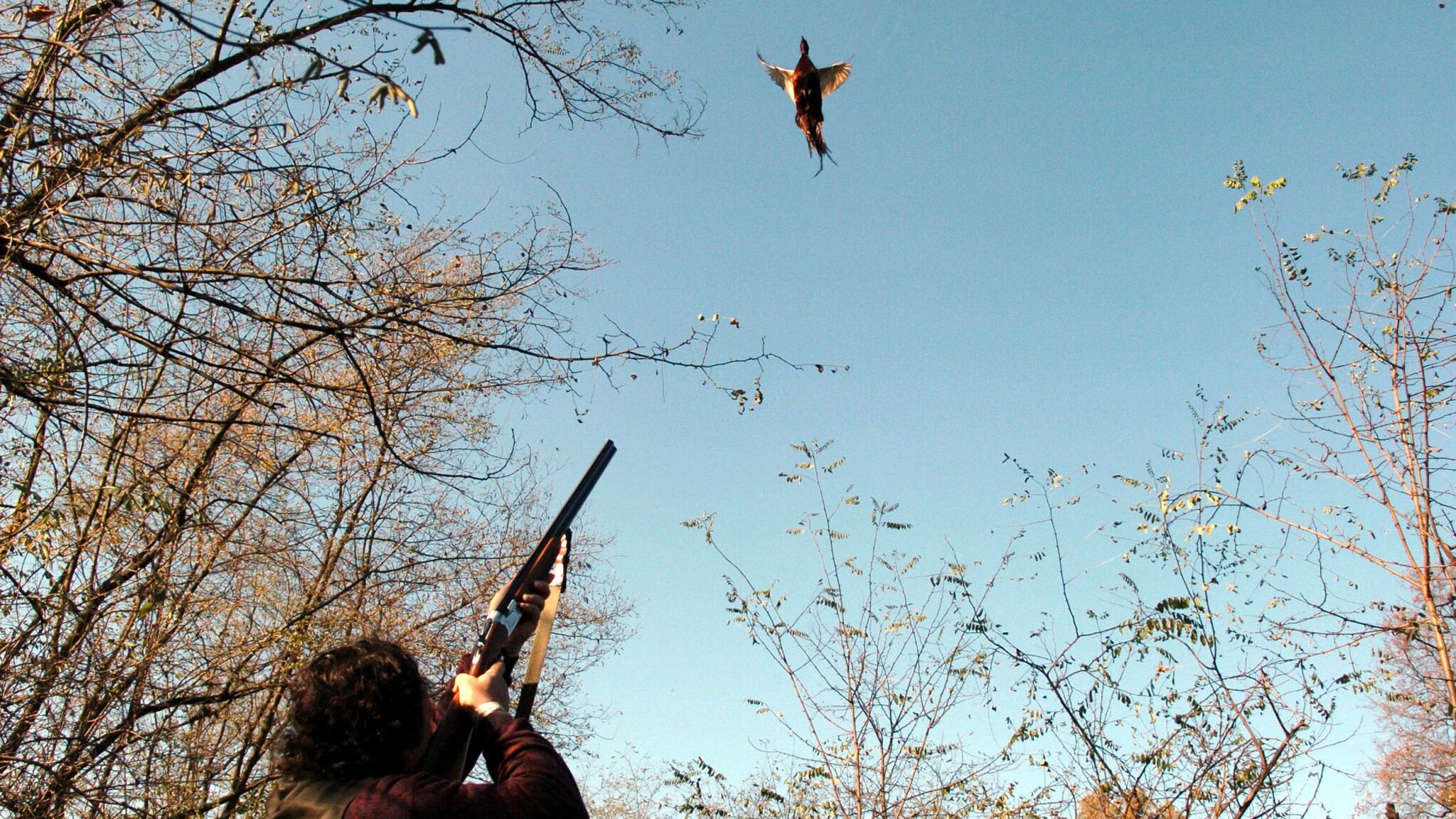 Primo giorno di caccia in Trentino e a occupare la scena c’è la contessa Maria Luisa Pompeati che ammette di prendere il fucile per sparare agli animali “perché la caccia è un atto d’amore”: “Li uccido, arrivo a baciarli e a piangere di gioia”.